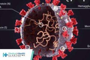 Nucleocapsid Antibodies Appear to Be Long-Lasting After SARS-CoV-2 Infection